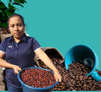Artisanal Process and tasting of the Best Coffee 