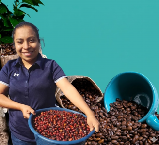 Artisanal process and tasting of the best coffee